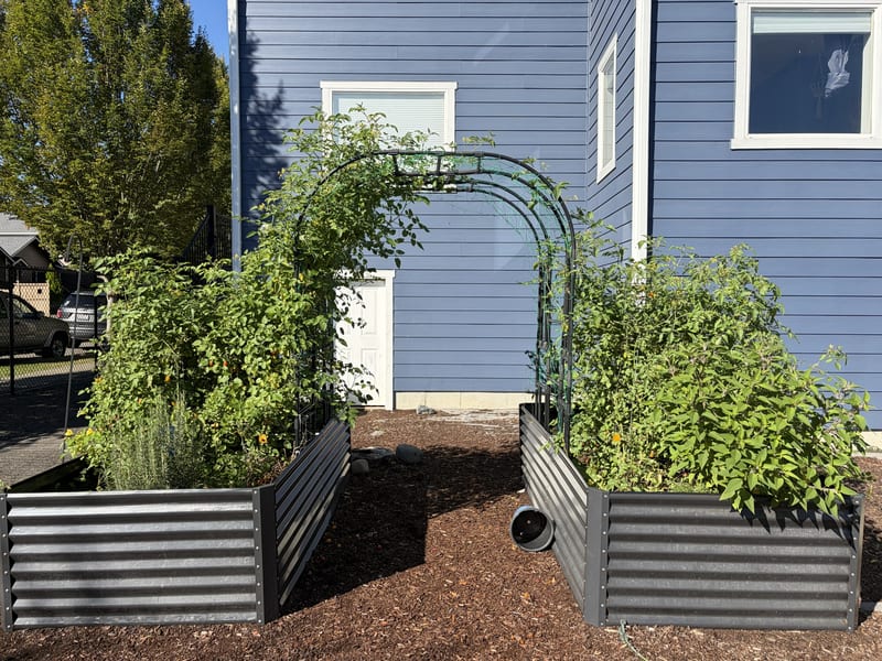 From Bare to Bountiful: 2 Thriving Beds